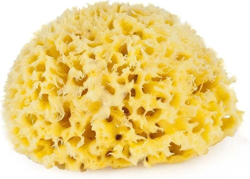 Bellini%100 Doğal Akdeniz Süngeri - Bebek Banyo Süngeri - Size:8 — Makyaj