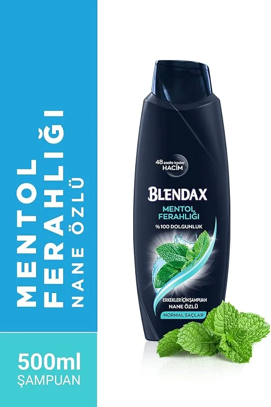 BLENDAX Erkekler için Mentol Ferahlığı Nane Özlü Şampuan, 500 ml — Saç bakımı